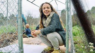 A Week of RAIN and a FRUIT CAGE | Self Sufficient Family HOMESTEAD IN SPAIN