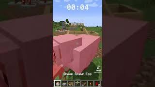 Minecraft sheep device speed run! #minecraft #minecraftspeedrun #minecraftmeme