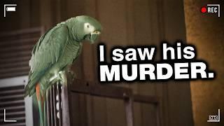 Parrot Becomes The Key Witness Of Horrifying Murder