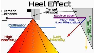 Radiology Physics / X ray (ANODE - heel effect) / passing the FRCR exam