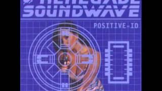 Renegade Soundwave - Positive ID