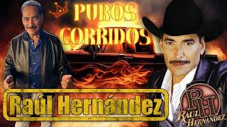 Raúl Hernández | Las 30 Mejores Canciones Puros Corridos Viejitos Mix Pesados