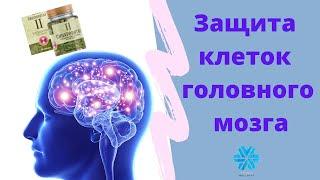 Защита клеток головного мозга Синхровитал 2 Сибирское здоровье Siberian Wellness