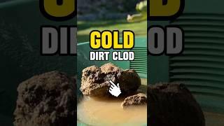 Breaking @chrisundertaking up clay dirt clods for gold #goldrush #goldpanning #backyard