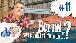 Bernd, was hältst du von...? #11 Training mit Mulis, Bemer Horse-Set und Übungen für Jungpferde