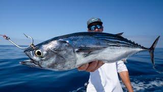 GIANT Baits for MONSTER Mexican Fish... Catch Clean Cook