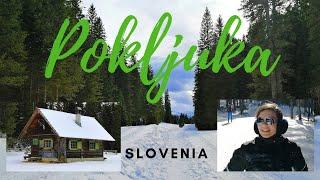 POKLJUKA - SLOVENIA 2020