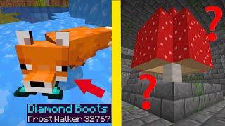 I Tested SECRET Minecraft Myths