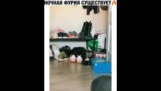 Ночная фурия