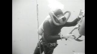 Sneaky frogwoman in rubber tries to beat Mike Nelson in an underwater race [Sea Hunt classics]