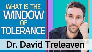 What is the Window of Tolerance?