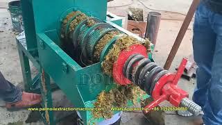 500kg/h home use palm oil screw press machine, palm oil crusher machine running video