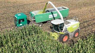 CLAAS JAGUAR 950 am Mais häckseln / 2 x FENDT & ein MAN LKW fahren ab / OSTERS & VOß / 4K