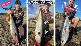 Landbased Tuna (NSW)