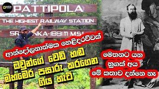 අලි ඇතුන් සියල්ල සමූල ඝාතනය කරපු අභිරහස් හේතුව මෙන්න . #hortonplains #yathartha #natute #siwhela