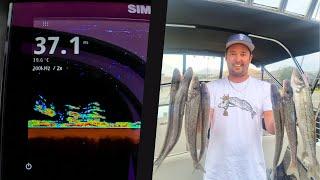 Catching "THUMPA" King George whiting +Tips + Hot Tuna session!