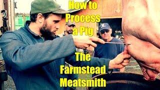 How to Process a Pig: The Farmstead Meatsmith