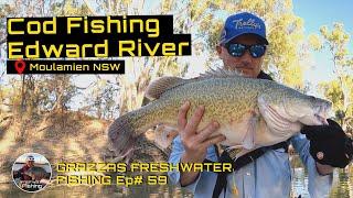 Murray Cod Fishing the Edward River | Moulamien