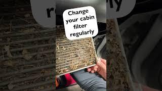 Please Don't Let This Be You! Change Your Cabin Filter Often!!!! #shorts