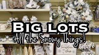 NEW BIG LOTS CHRISTMAS DECOR 2021 • SHOP WITH ME