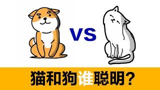 猫和狗到底谁更聪明？动画科普，科学告诉你答案 猫的智商 狗的智商