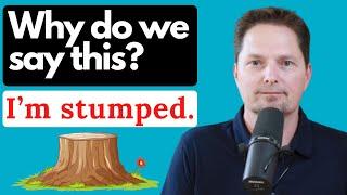 CONFUSING VOCABULARY / A STUMP / I'M STUMPED / DUMB AS A STUMP / EVERYDAY AMERICAN ENGLISH