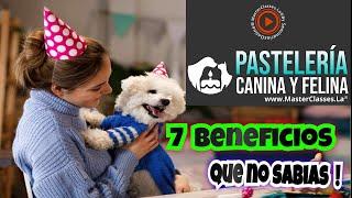 Pastelería Canina y Felina - Curso Hotmart - 7 Beneficios De La Pastelería Canina y Felina