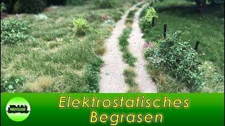 (112) Elektrostatisches Begrasen