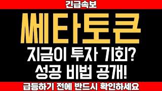 "쎄타토큰, 지금이 투자 기회? 성공 비법 공개!"