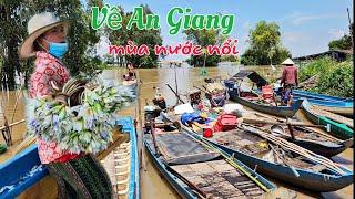 Về An Giang mùa nước nổi theo con nước từ sông mekong vào cánh đông tha la cá đồng rất nhiều