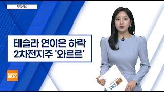 [기업이슈] 테슬라, 연이은 하락에 약세…이차전지주 '와르르'