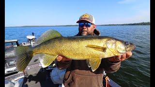 Trolling Cranks for BIG Walleye (Tips)