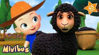 Baa Baa Black Sheep + More Nursery Rhymes & Kids Songs | Minibus