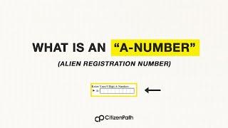 What is an Alien Registration Number (A-number)?