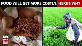 Russia Ukraine War: Cost of Fertilizer Urea, DAP, & MOP Up Causing Food Inflation | NewsMo