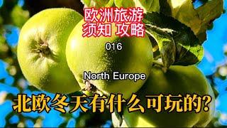 欧洲旅游须知攻略016 北欧冬天有什么可玩的？