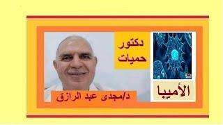 الأميبا وأعراضها