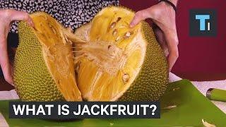 What is jackfruit?