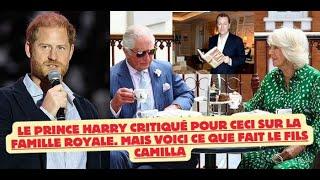 Le Prince Harry critiqué pour ceci sur la famille Royale. Mais voici ce que fait le fils Camilla