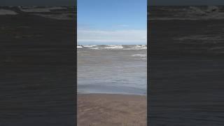 Point Pelee, the southernmost point of mainland Canada, is a spit of land that juts into Lake Erie!