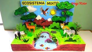 Como hacer MAQUETA de ECOSISTEMA MIXTO paso a paso / Proyecto Escolar / ecosystem mixed
