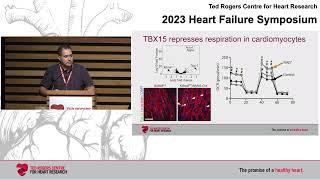 Epigenetic Control of Cardiac Metabolism in Dilated Cardiomyopathy - Paul Delgado-Olguin