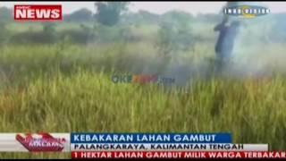 Kebakaran Lahan Gambut di Kaltim Kembali Marak