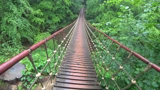 Schmale Trails am Rhein Vom Binger Wald zum Morgenbachtal