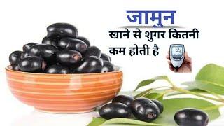 डायबिटीज में जामुन खाने से शुगर कितनी कम होती है | Can Diabetic Patient Eat Indian BlackBerry