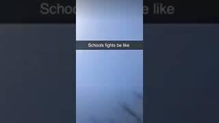 Schools fights be like