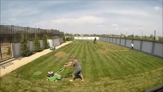 Scarification and Aeration of the lawn