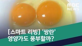 [스마트 리빙] '쌍란' 영양가도 풍부할까? (2019.11.15/뉴스투데이/MBC)