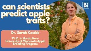 Can scientists predict apple traits? Exploring Genome Wide Prediction Models