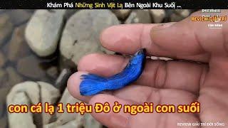 Khám Phá Những Sinh Vật Lạ Bên Ngoài Khu Suối || review giải trí